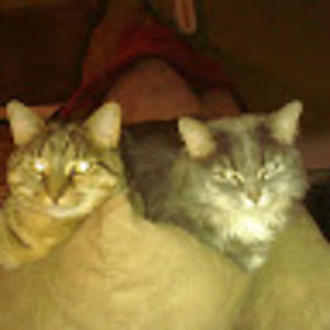 Meet your Posher, Suzy